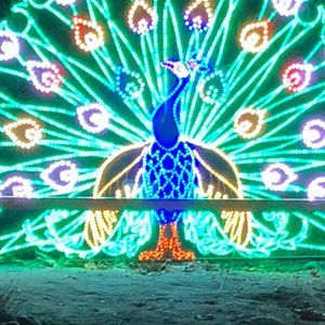 Meet your Posher, Gemma